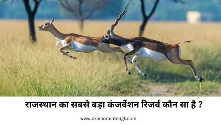 राजस्थान का सबसे बड़ा कंजर्वेशन रिजर्व