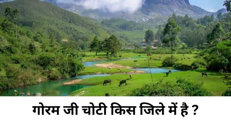 गोरम जी चोटी